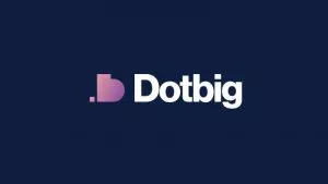Lee más sobre el artículo DotBig