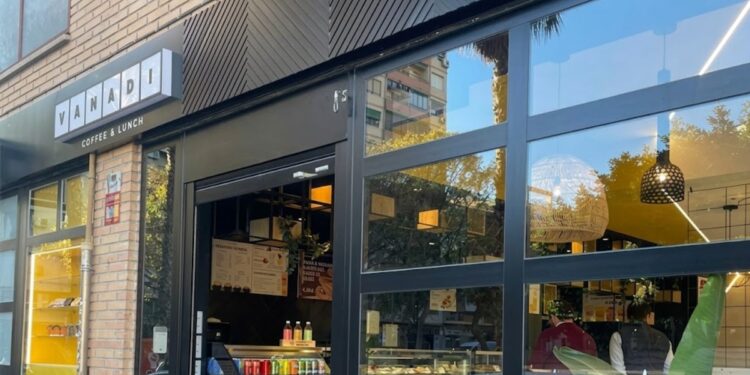 Vanadi entró en la “espiral de la muerte” tras un año de incursionar en bitcoin